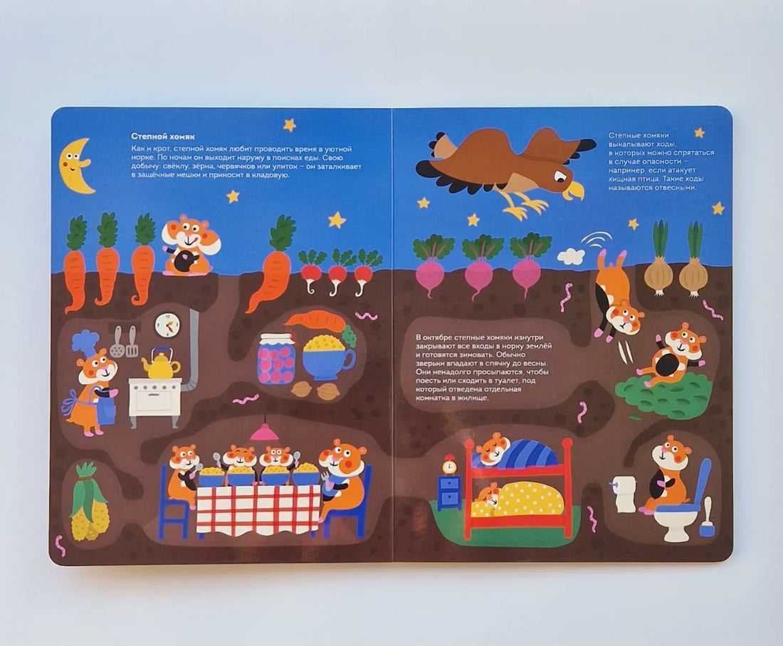 Кто живет под землей. Виммельбух