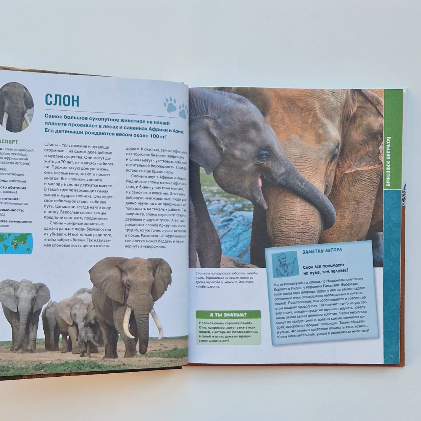 В мире животных. Энциклопедия