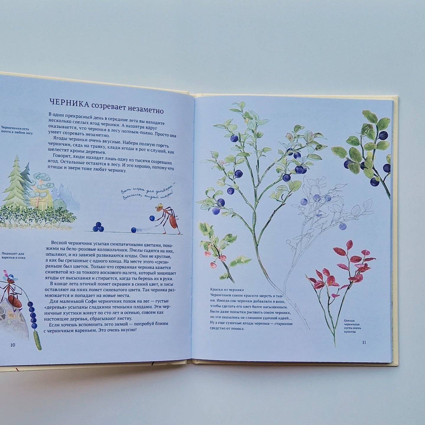 Софи в мире ягод