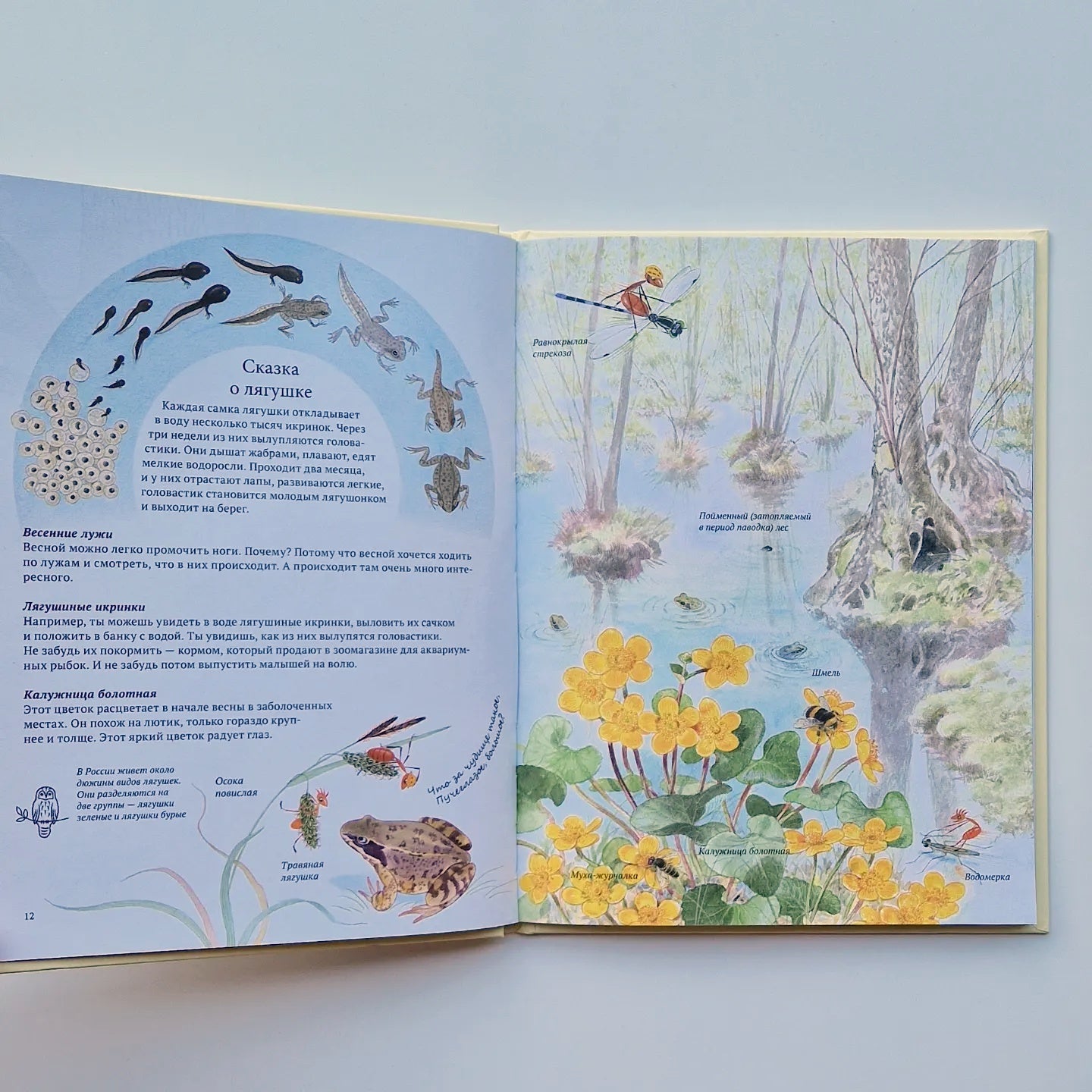 Экспедиция Софи