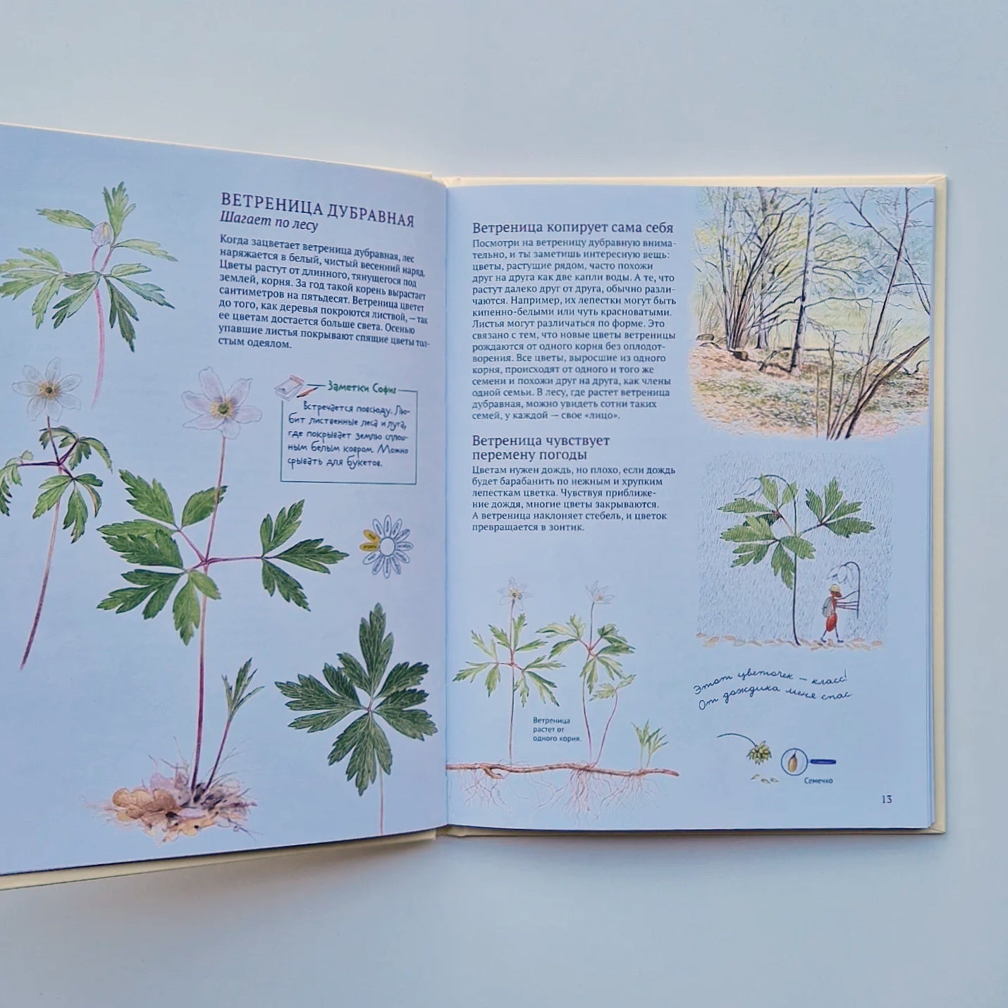 Софи в мире цветов