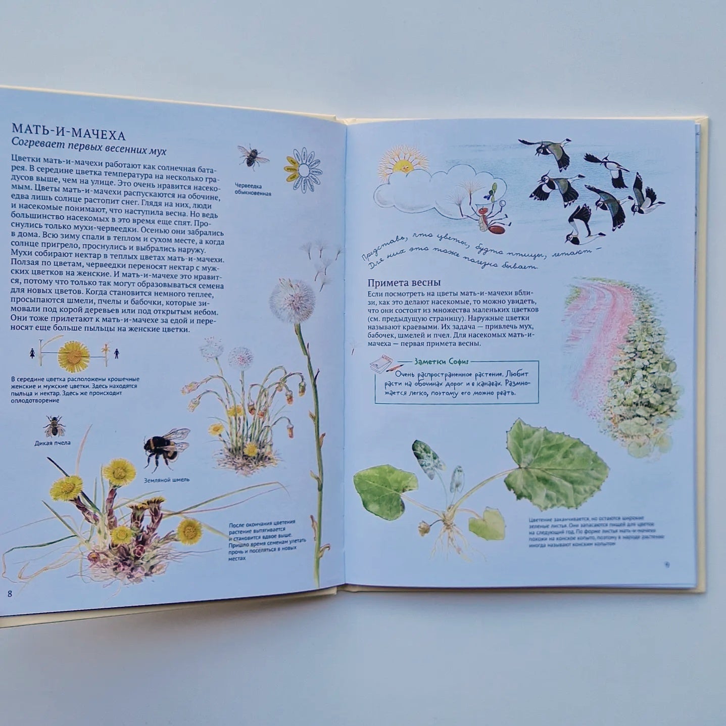 Софи в мире цветов