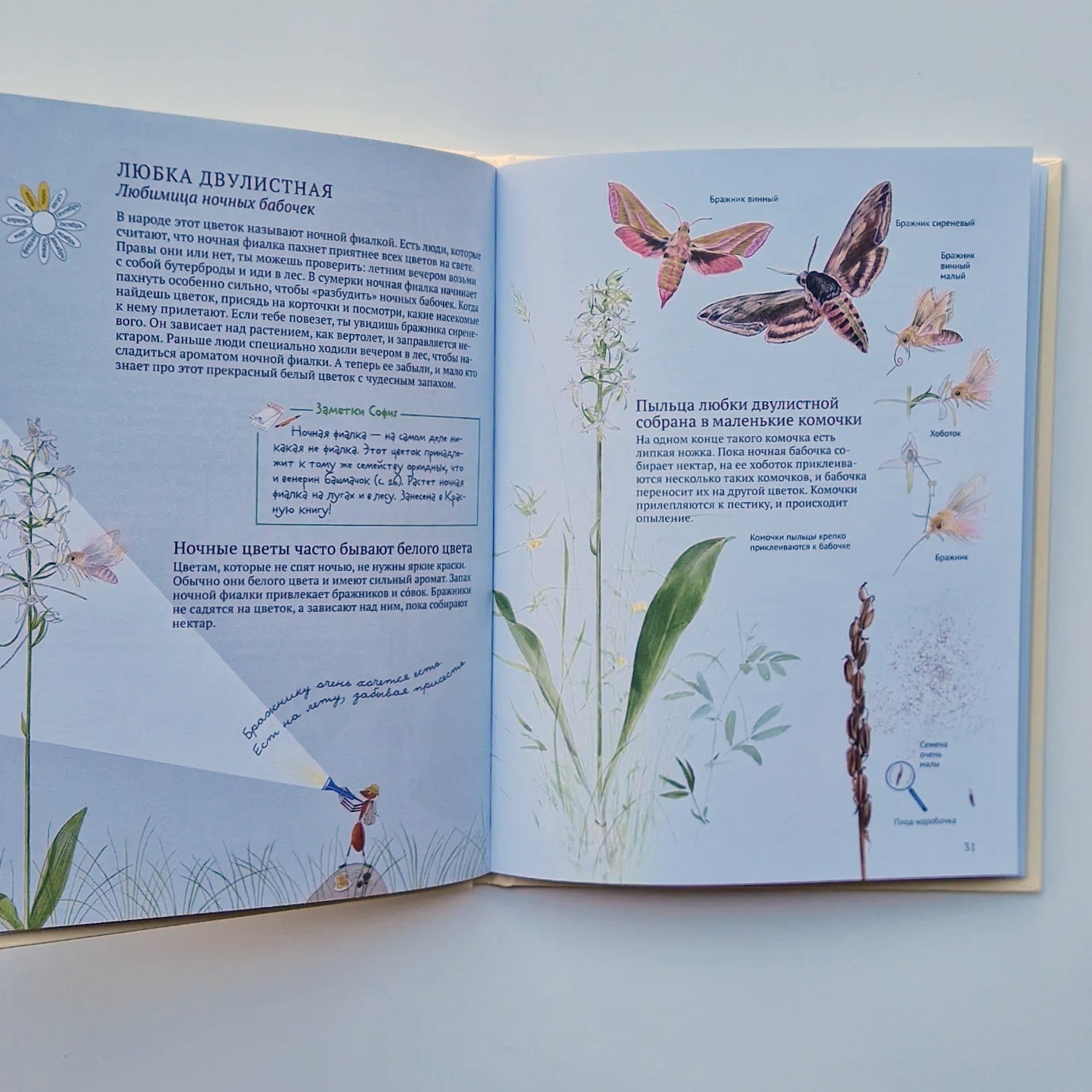 Софи в мире цветов