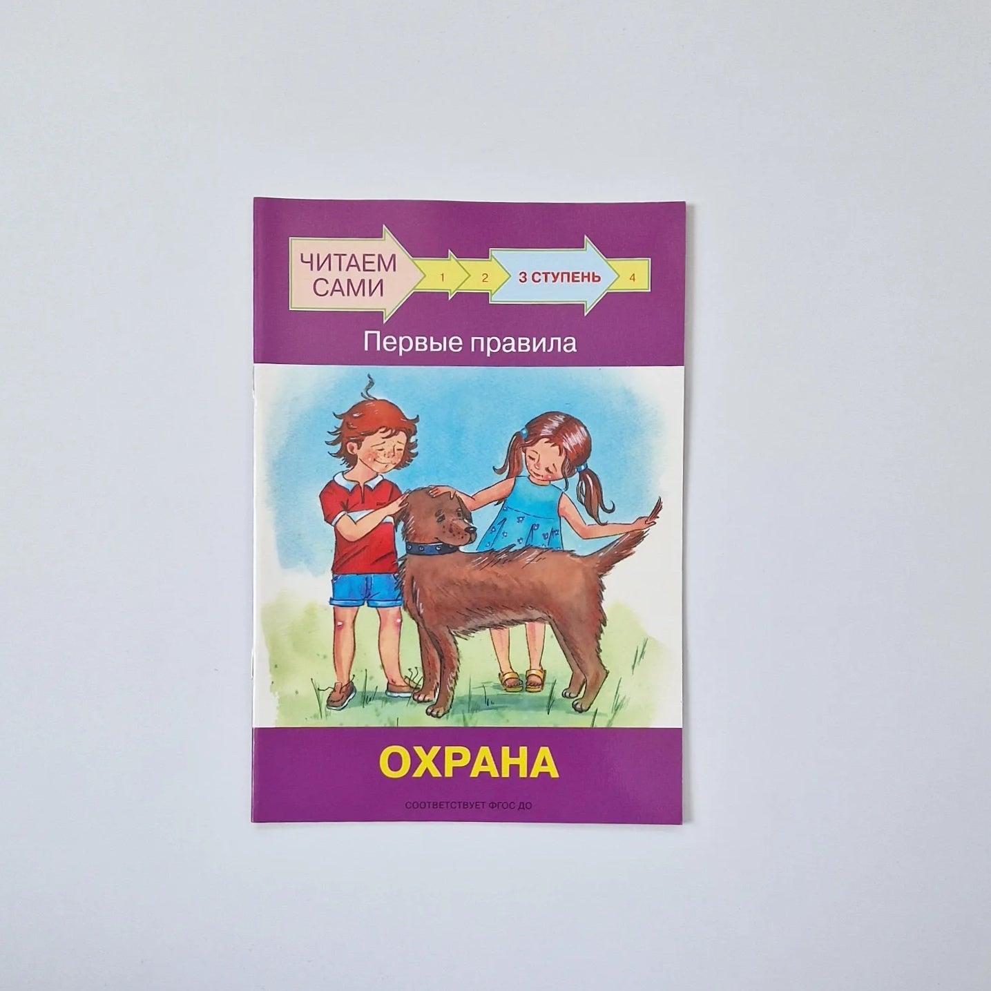 Читаем сами. Ступень 3. Первые правила. Охрана