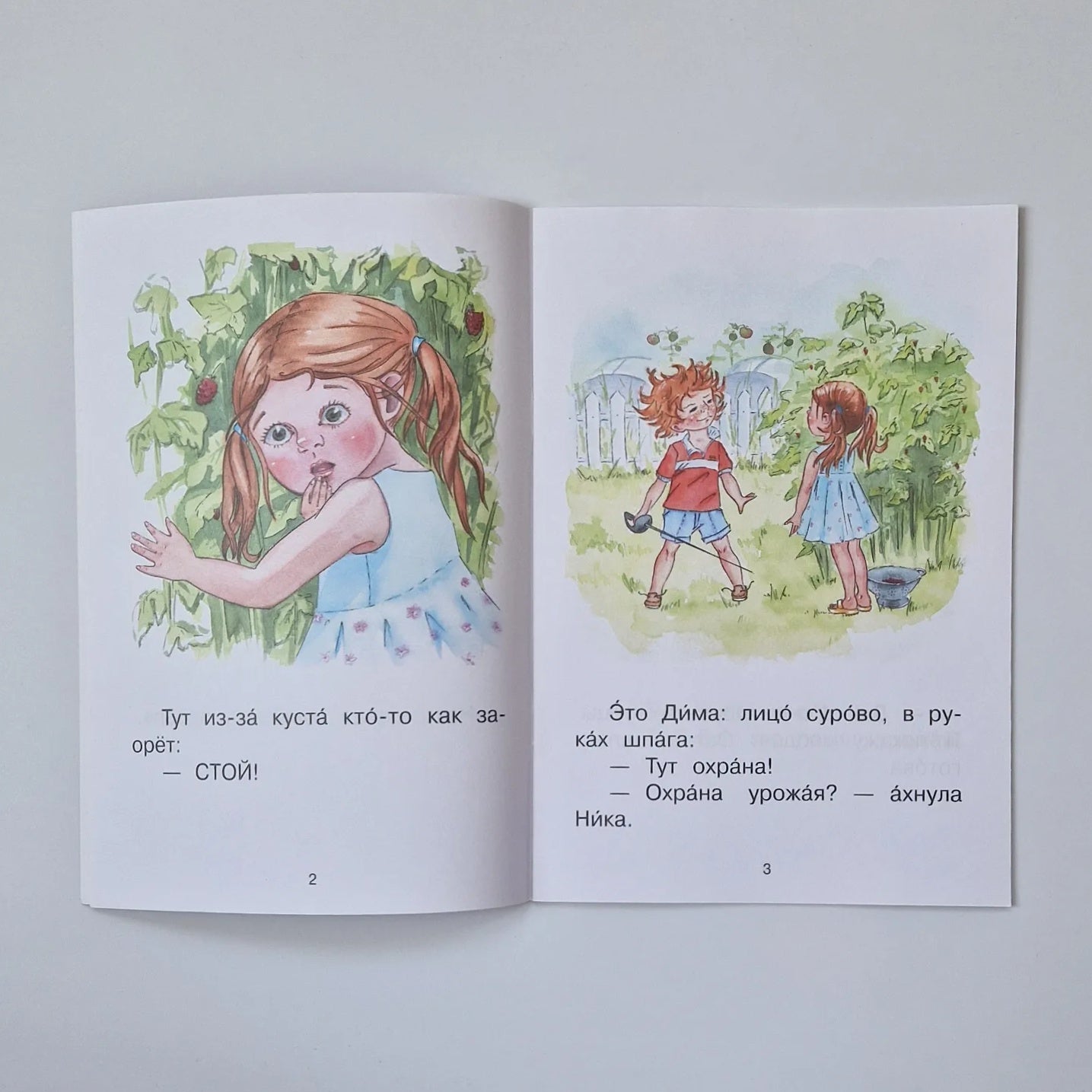 Читаем сами. Ступень 3. Первые правила. Охрана