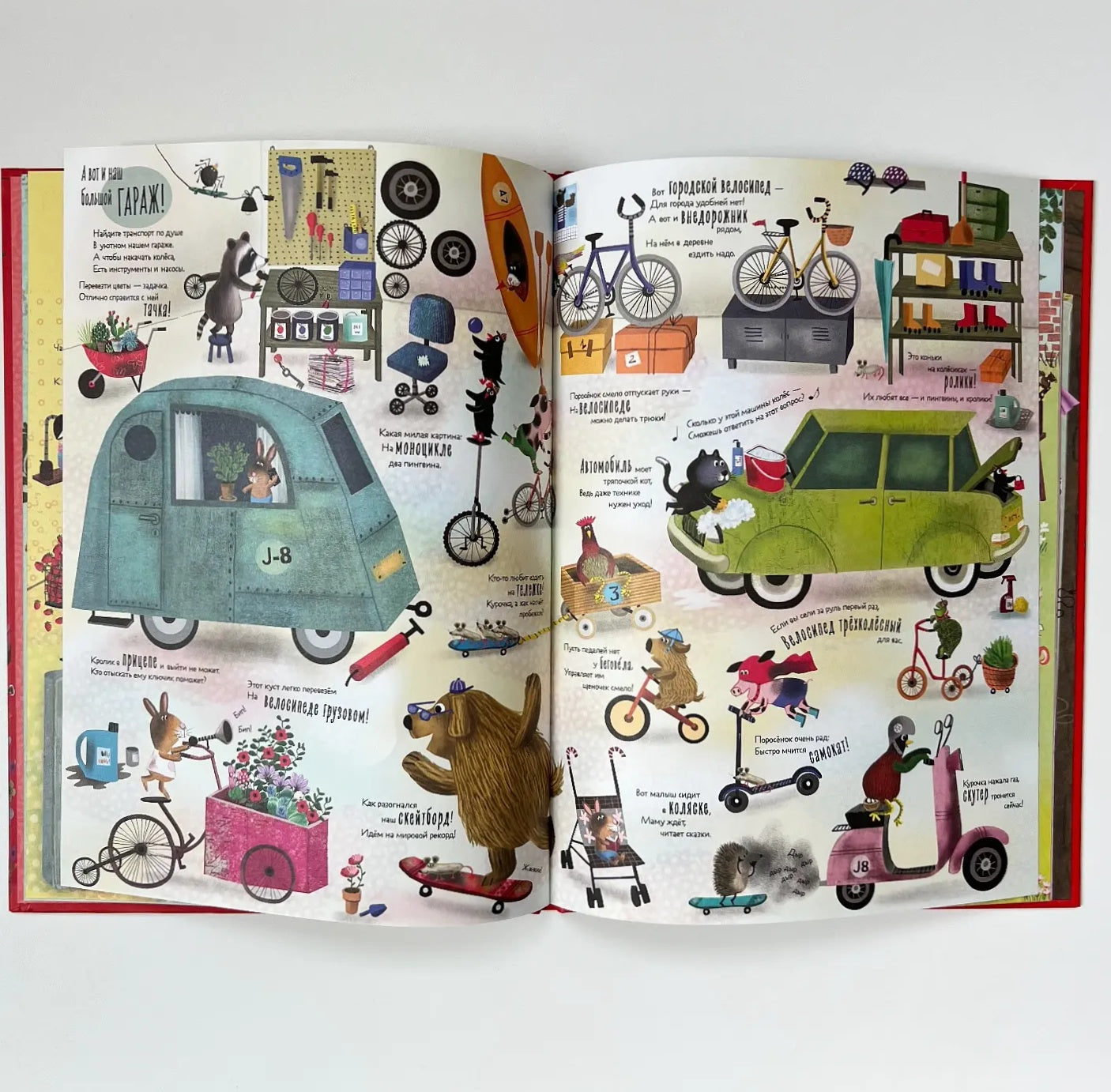 Everything, everything, everything that I have in my house