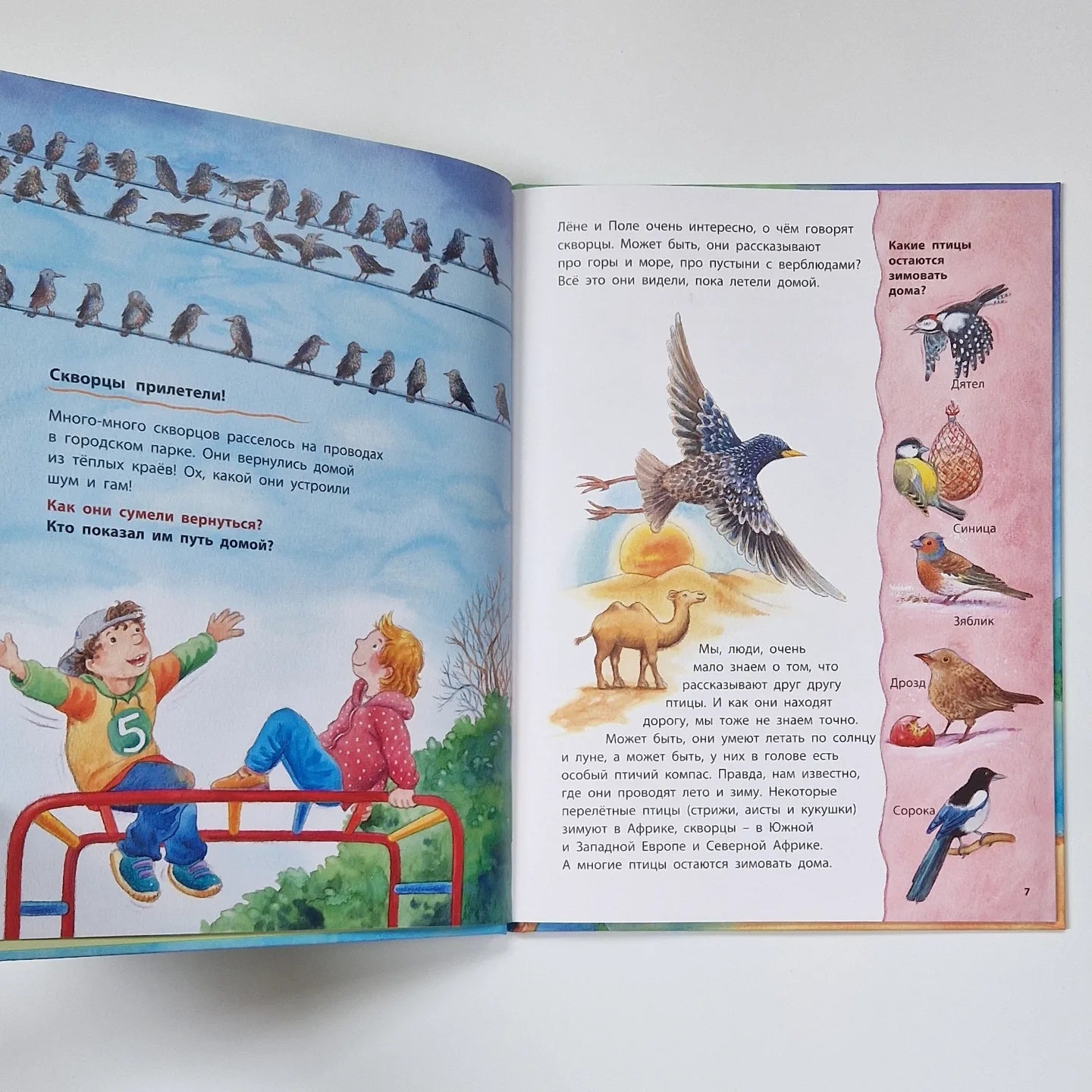 Little tit and her friends. Educational stories