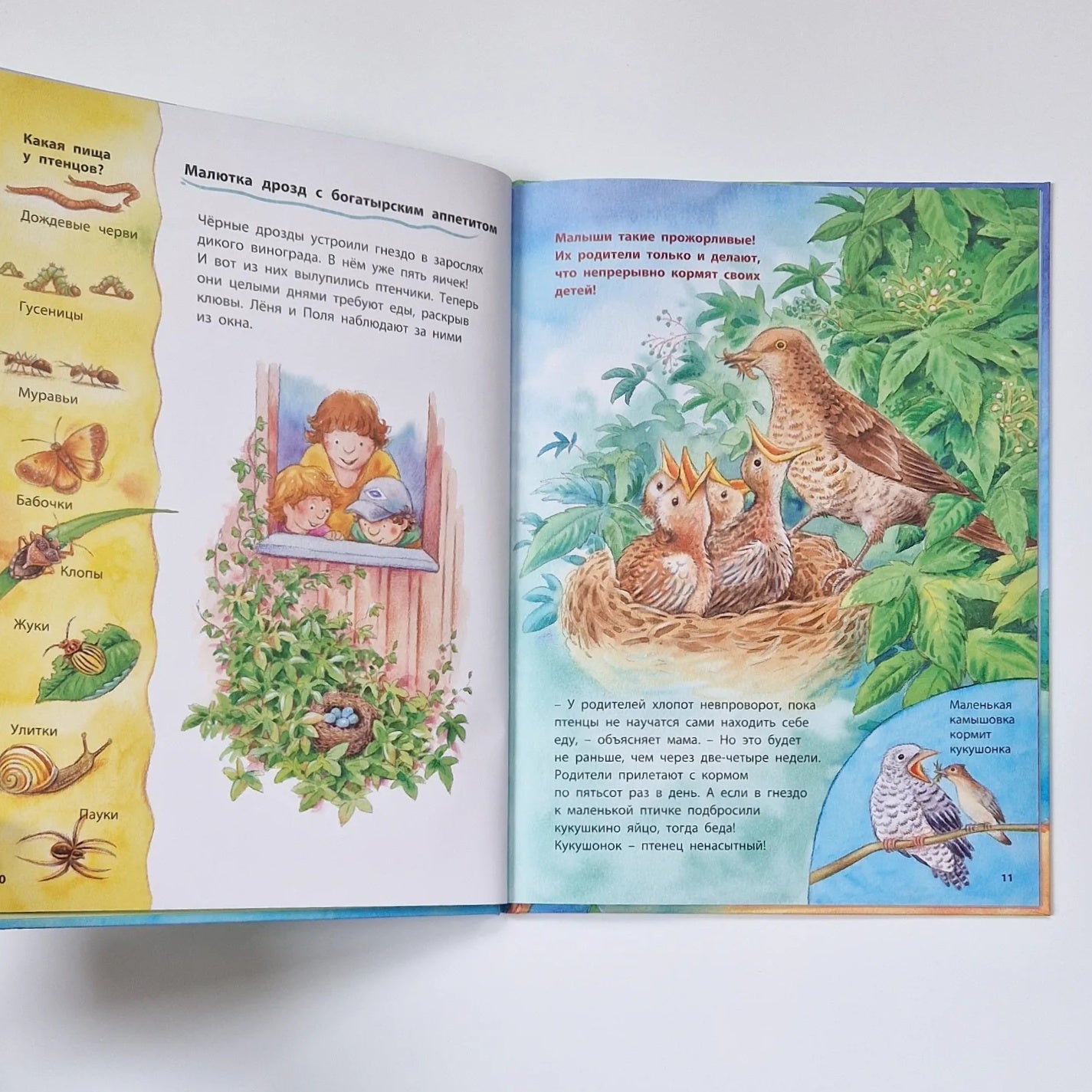 Little tit and her friends. Educational stories