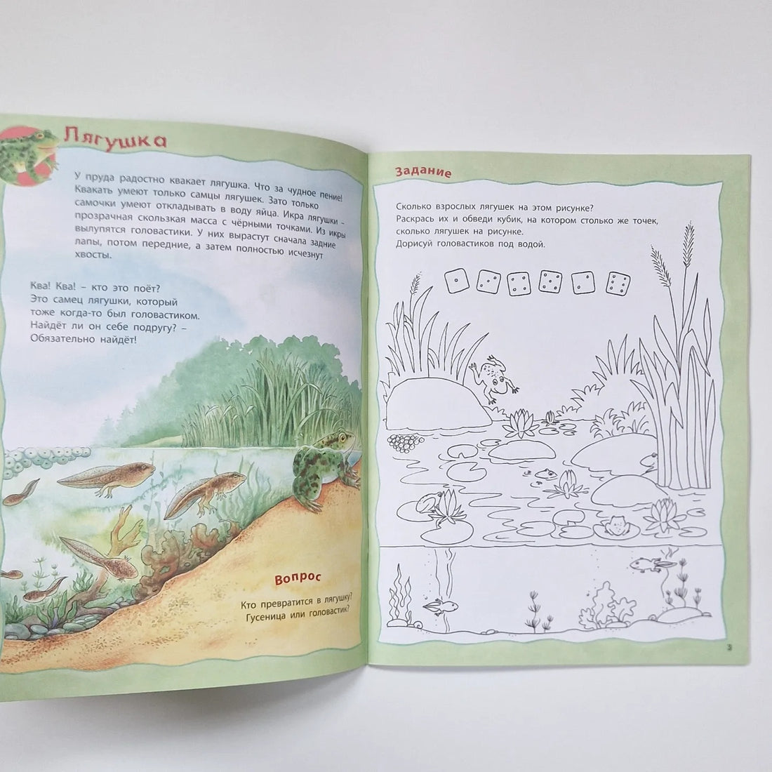Кто живёт в реке? Книжка-активити