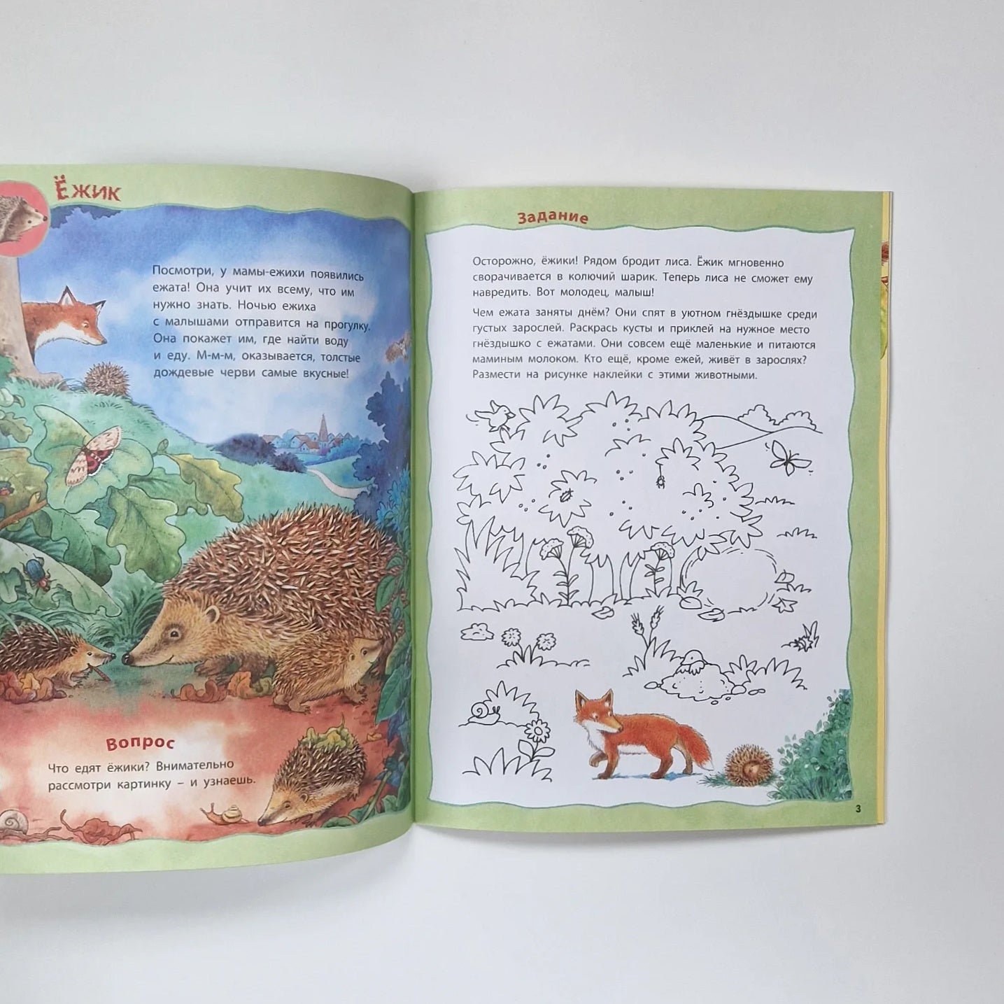 Кто живёт на опушке? Книжка-активити
