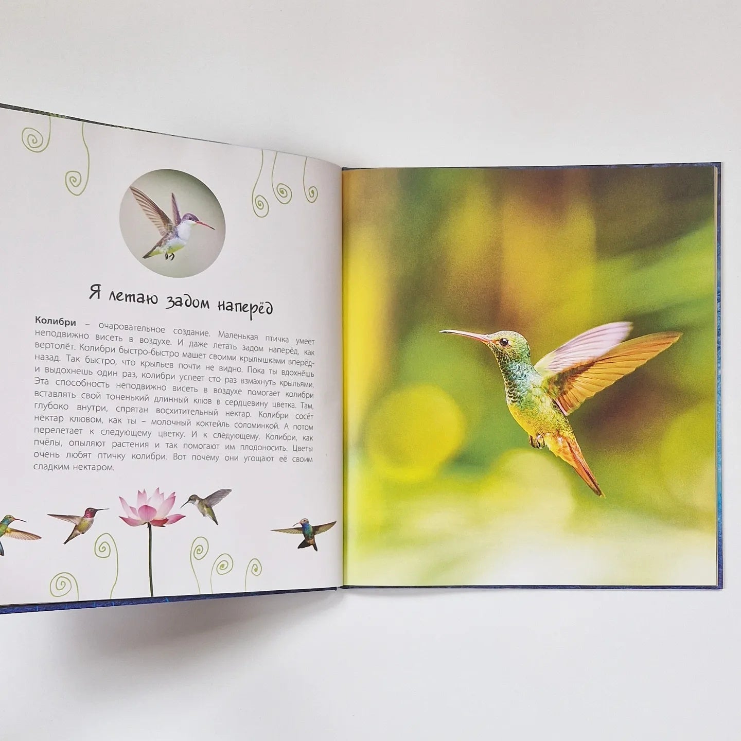 Look at what I can do! Wonders of the animal world