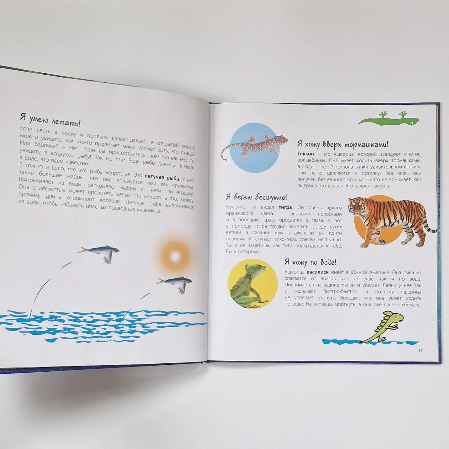 Look at what I can do! Wonders of the animal world