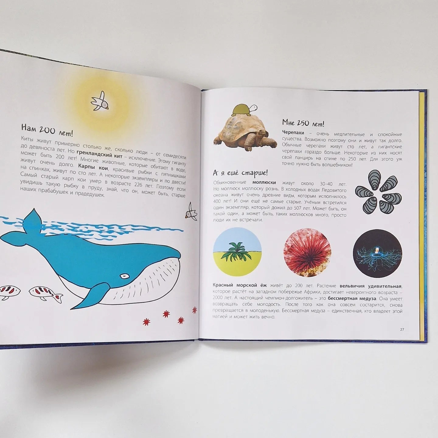 Look at what I can do! Wonders of the animal world