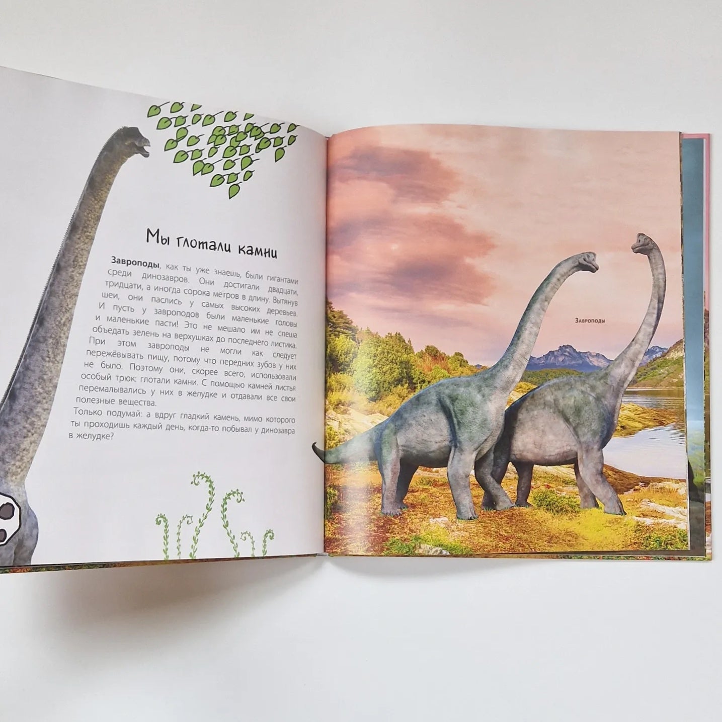 Динозавры! Загадки доисторических животных