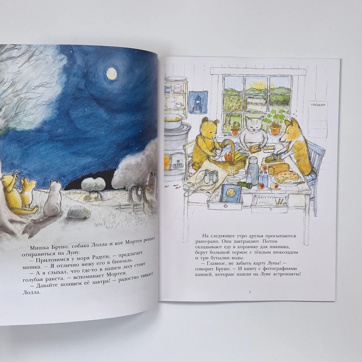 Bruno the Bear Flies to the Moon