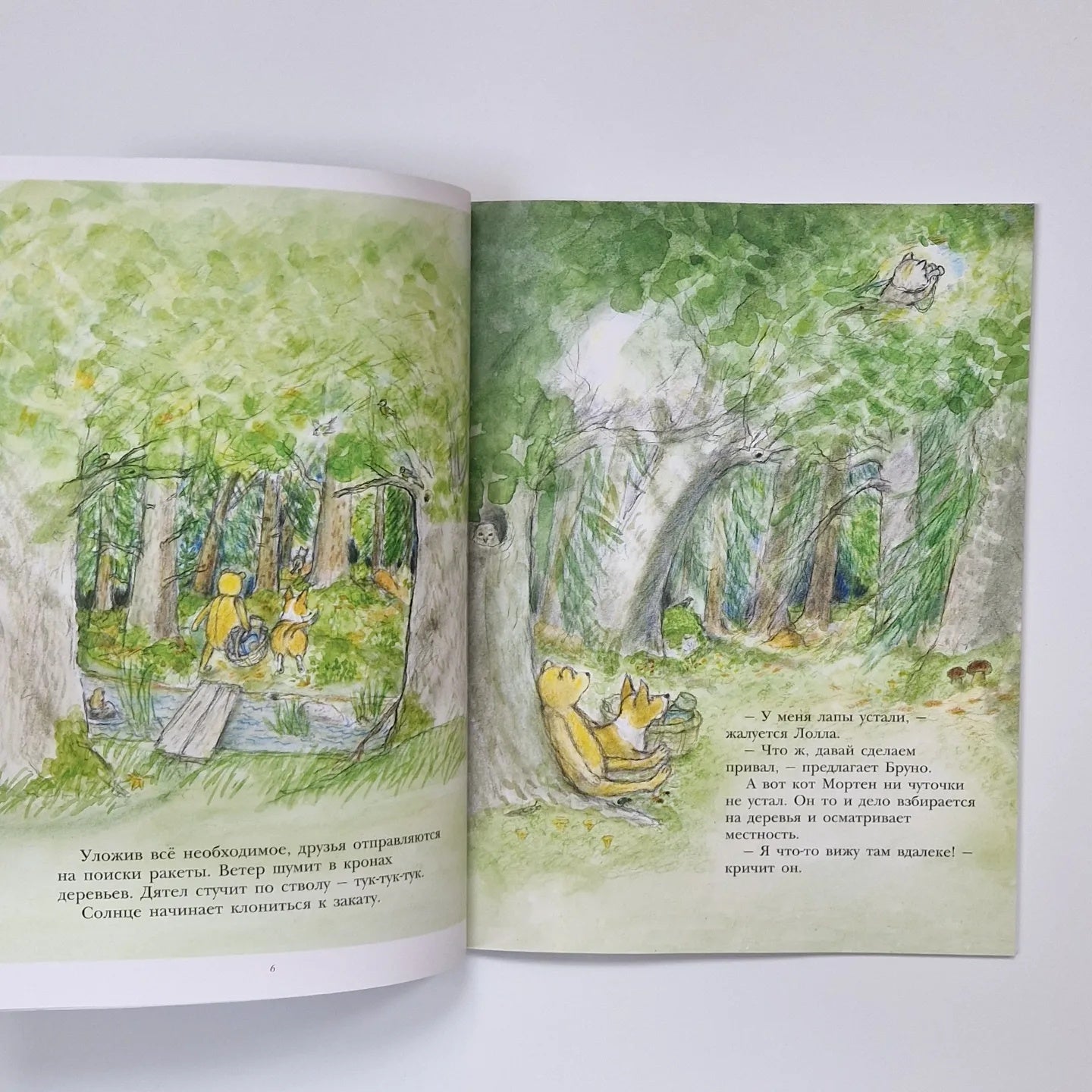 Bruno the Bear Flies to the Moon