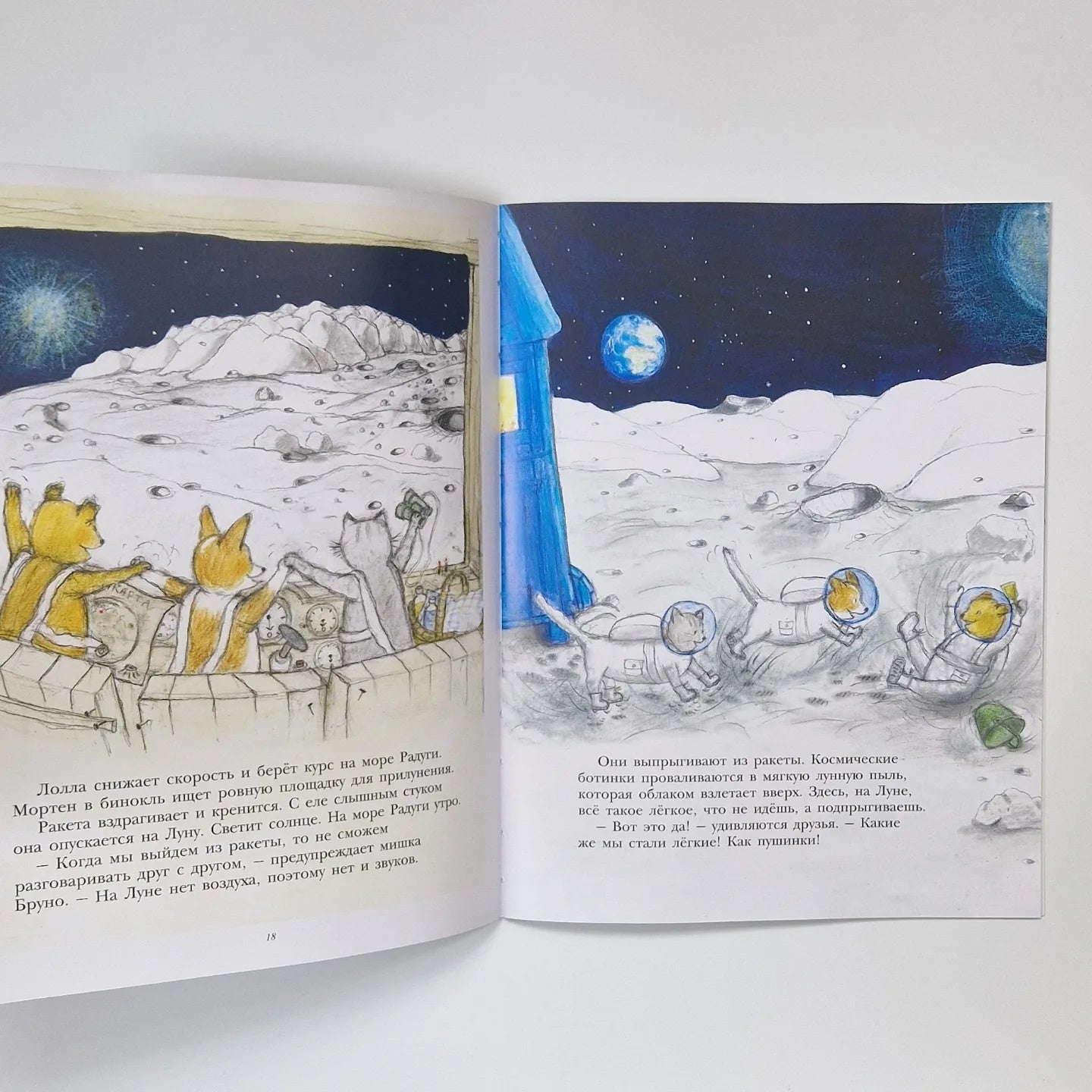 Bruno the Bear Flies to the Moon