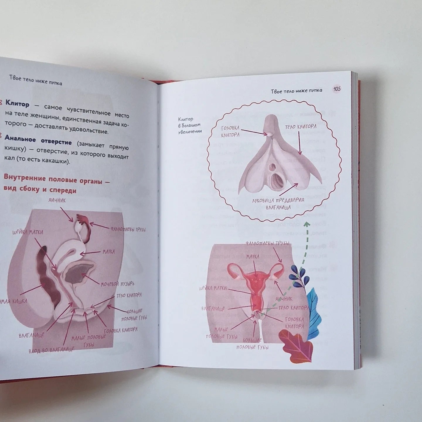Тело, эмоции, отношения, ты. Красивая книга о взрослении для девочек