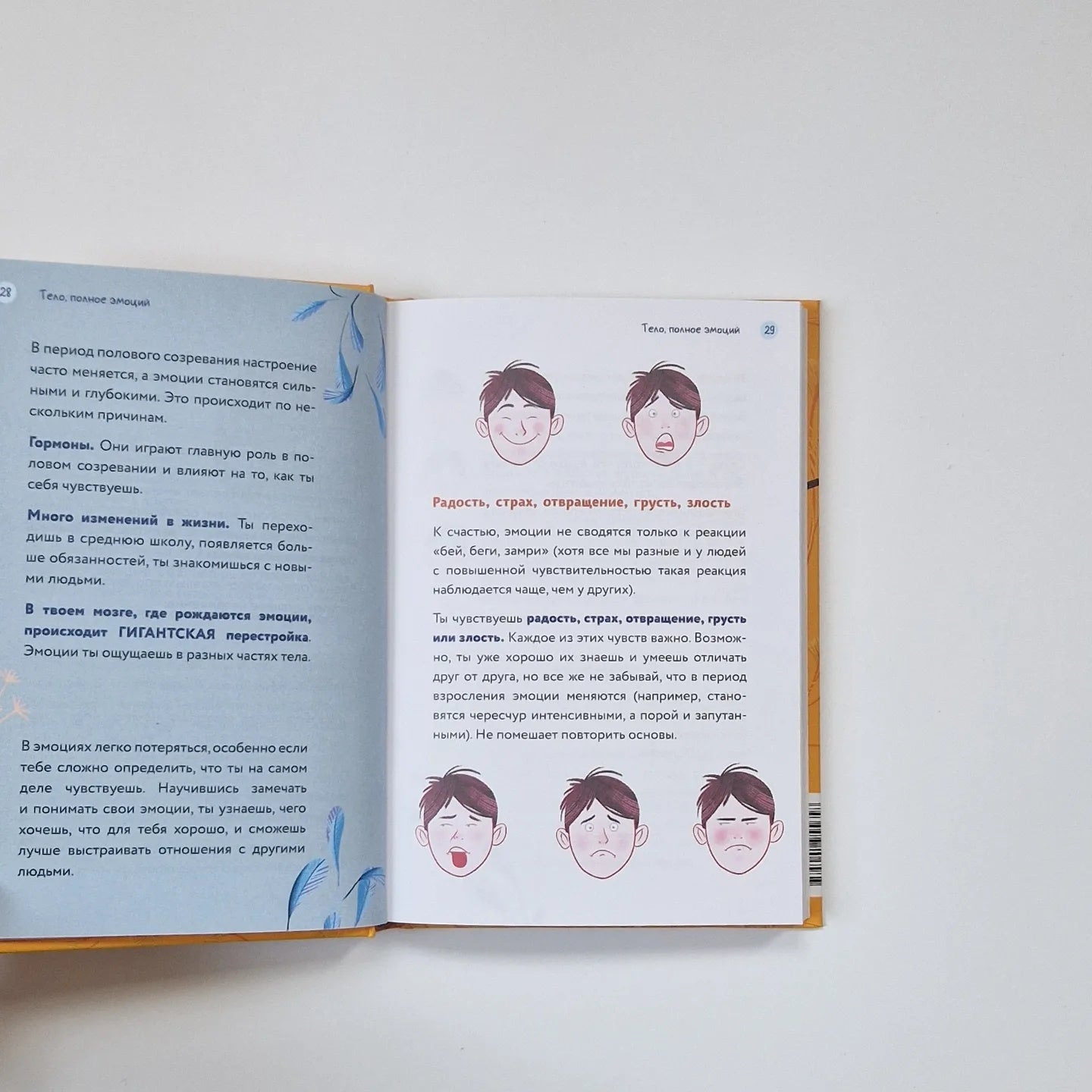 Тело, эмоции, отношения, ты. Красивая книга о взрослении для мальчиков
