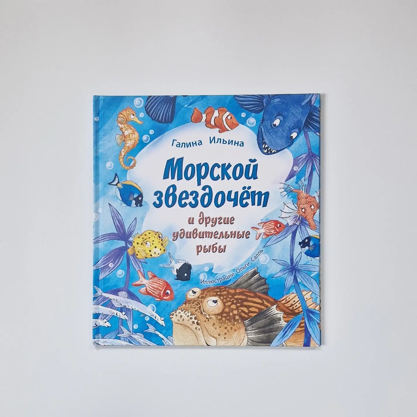 Stargazer and other amazing fish