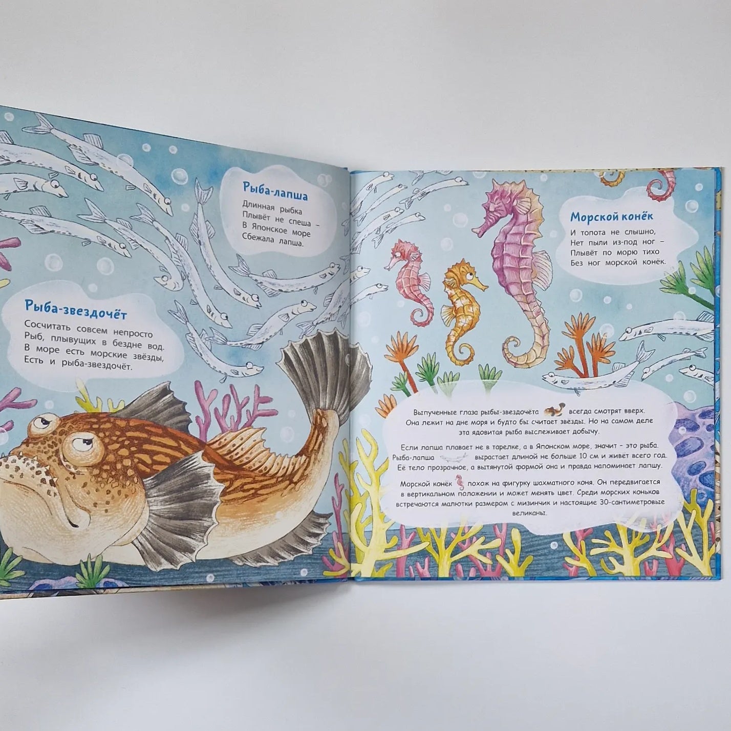 Stargazer and other amazing fish