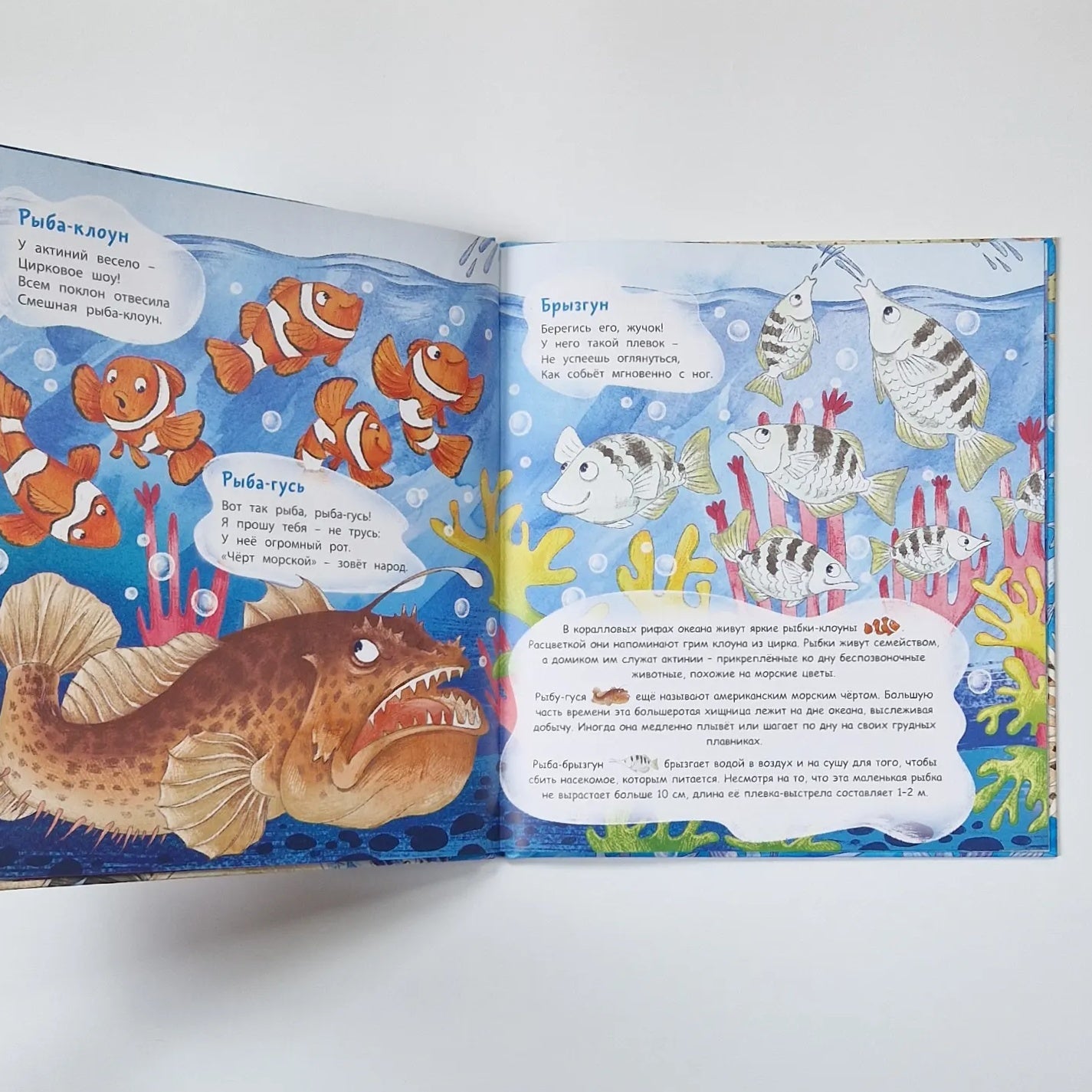 Stargazer and other amazing fish