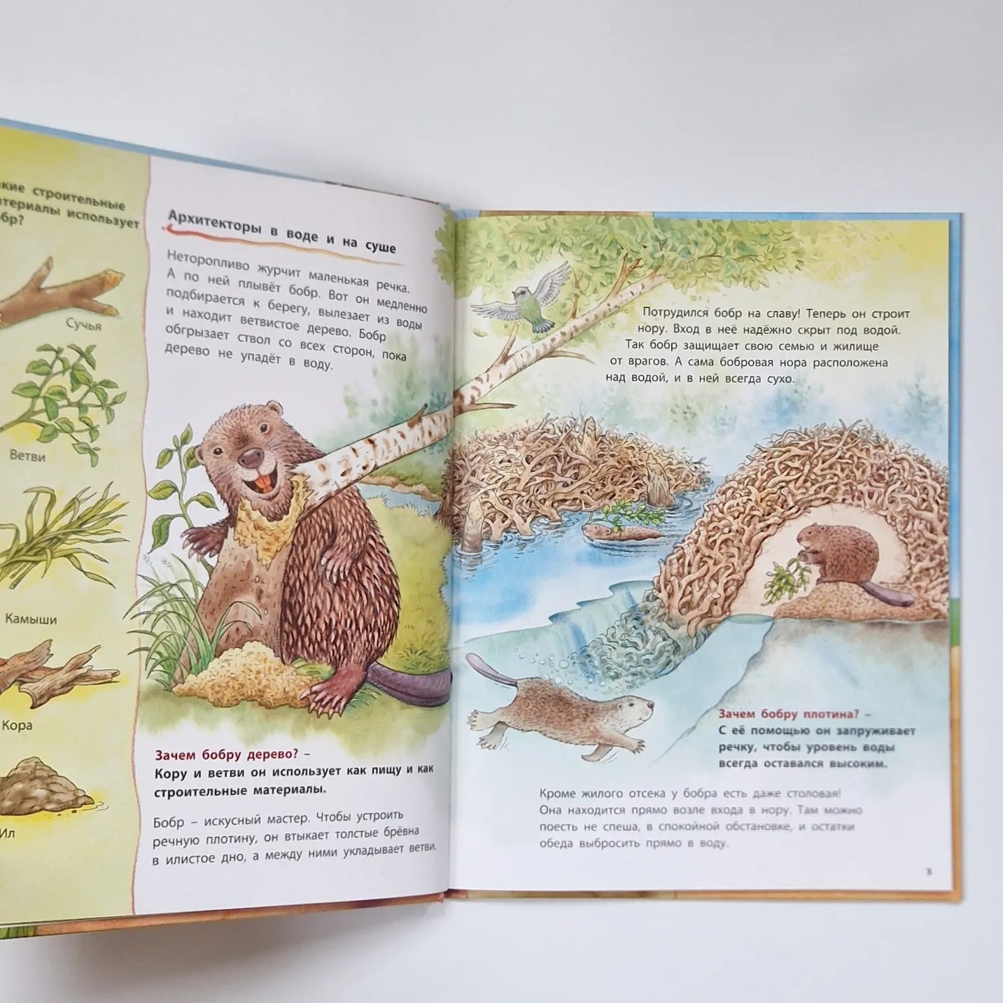 Animal Builders. Educational Stories