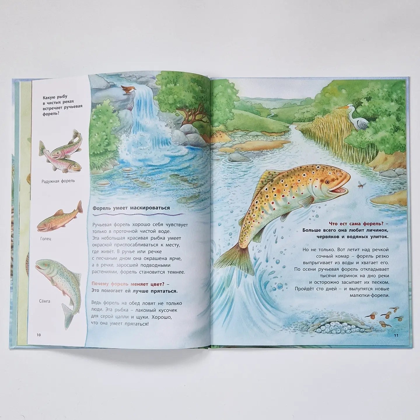 Beavers and other river inhabitants. Educational stories
