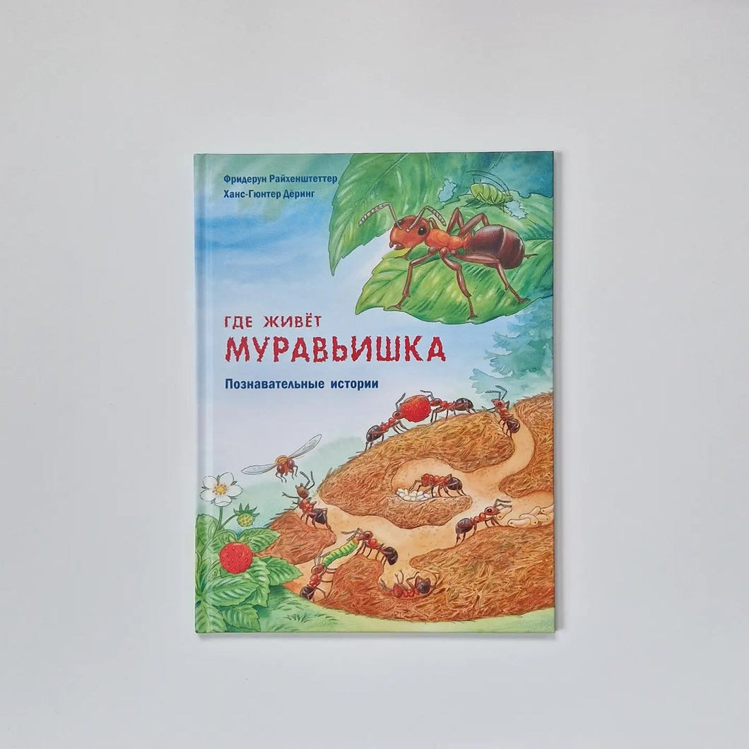 Где живёт муравьишка. Познавательные истории