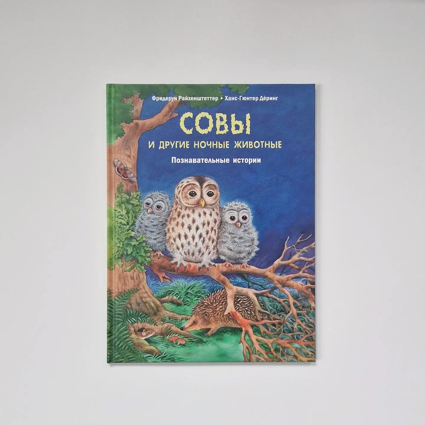 Owls and other nocturnal animals. Educational stories