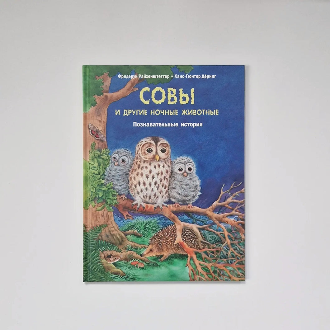 Совы и другие ночные животные. Познавательные истории