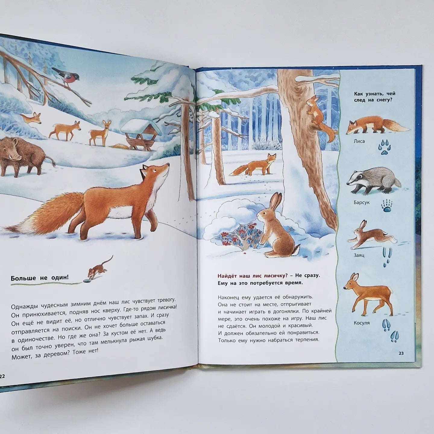 The Fox Cub and Other Animals in the Forest. Educational Stories