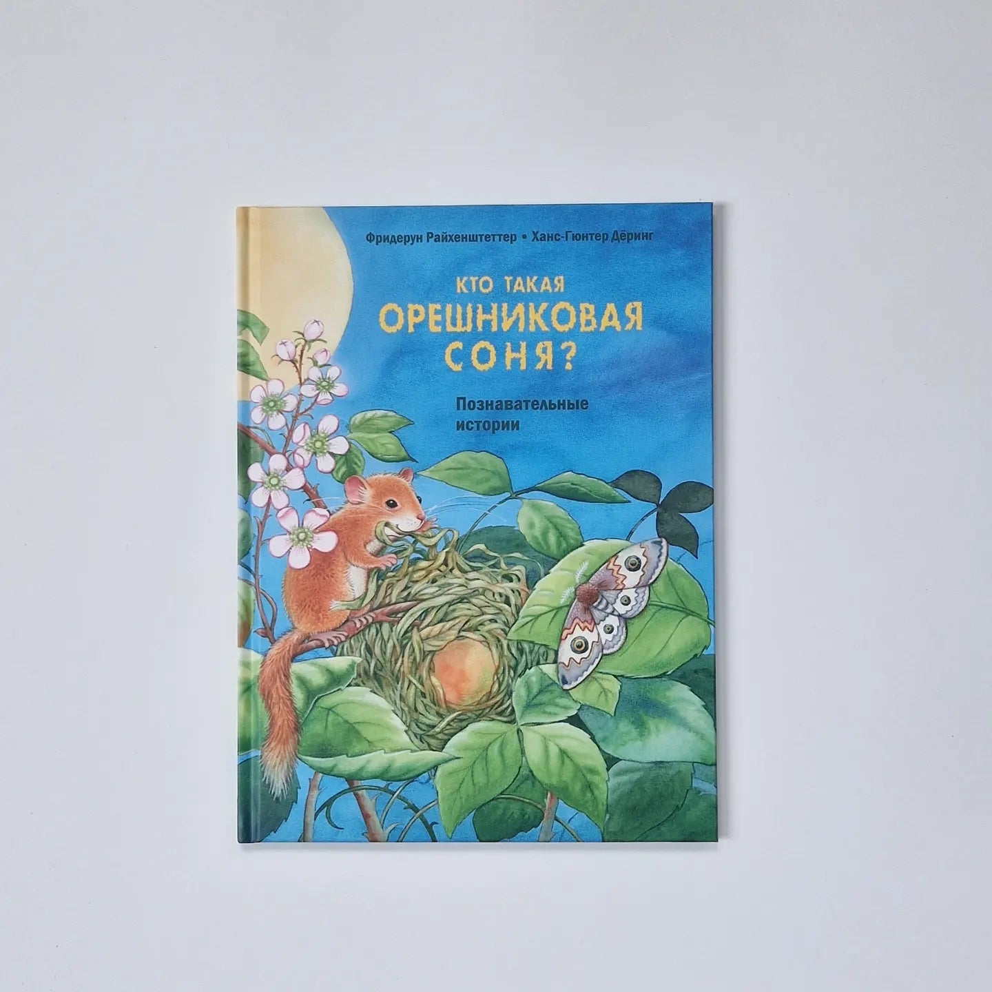 Кто такая орешниковая соня? Познавательные истории