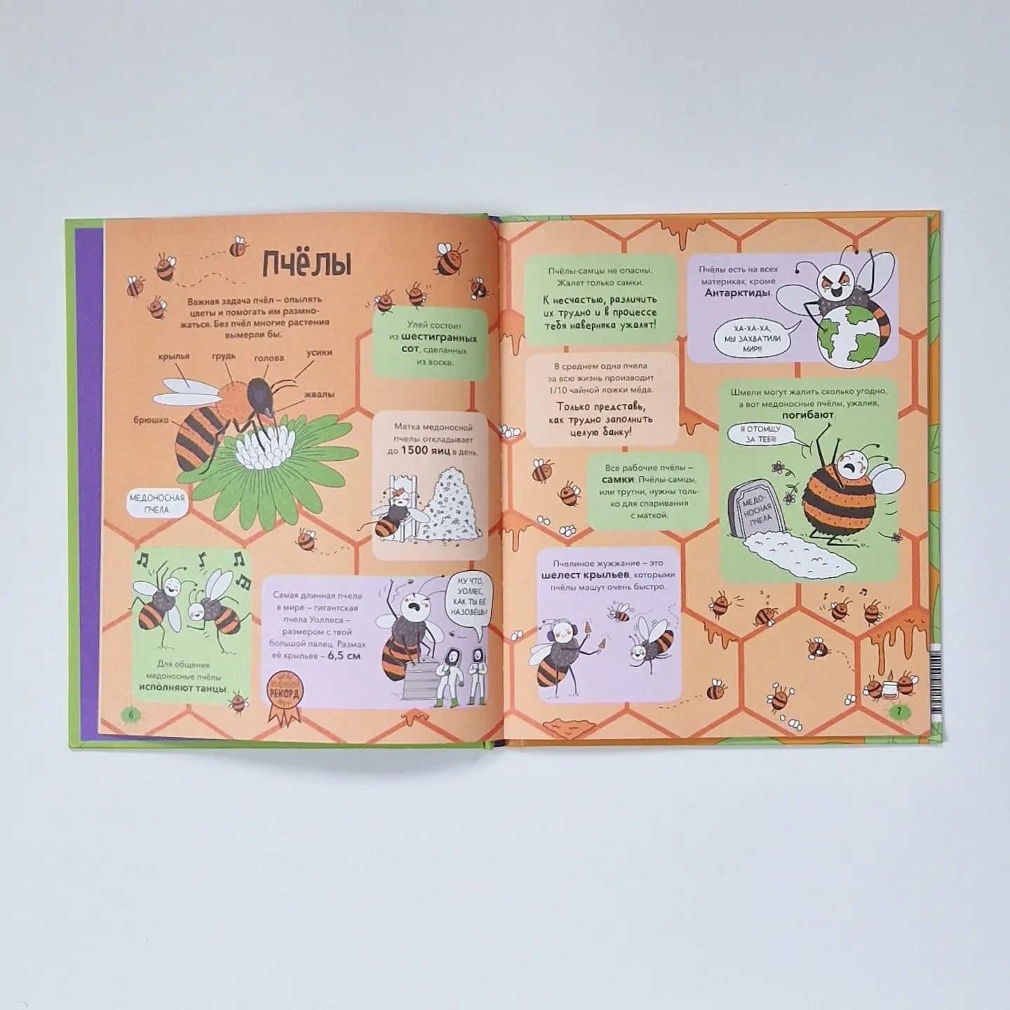 Насекомые и не только