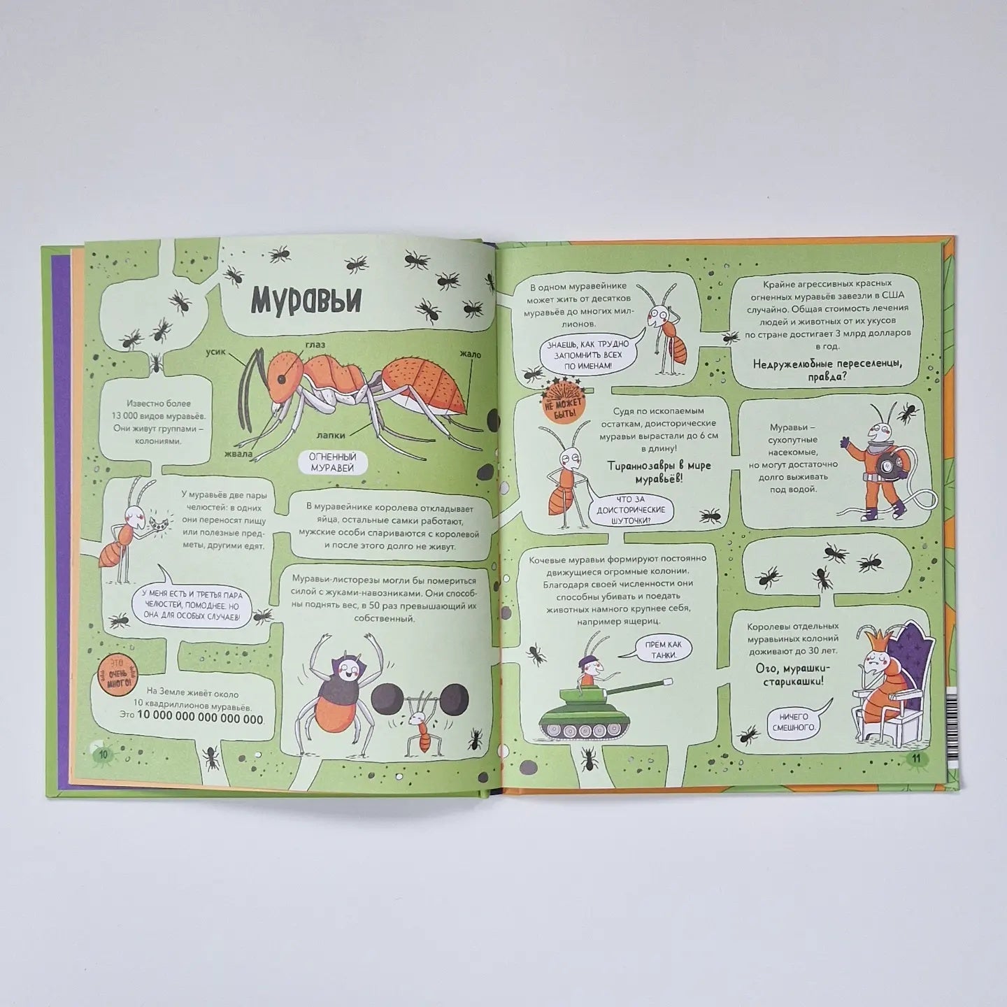 Насекомые и не только