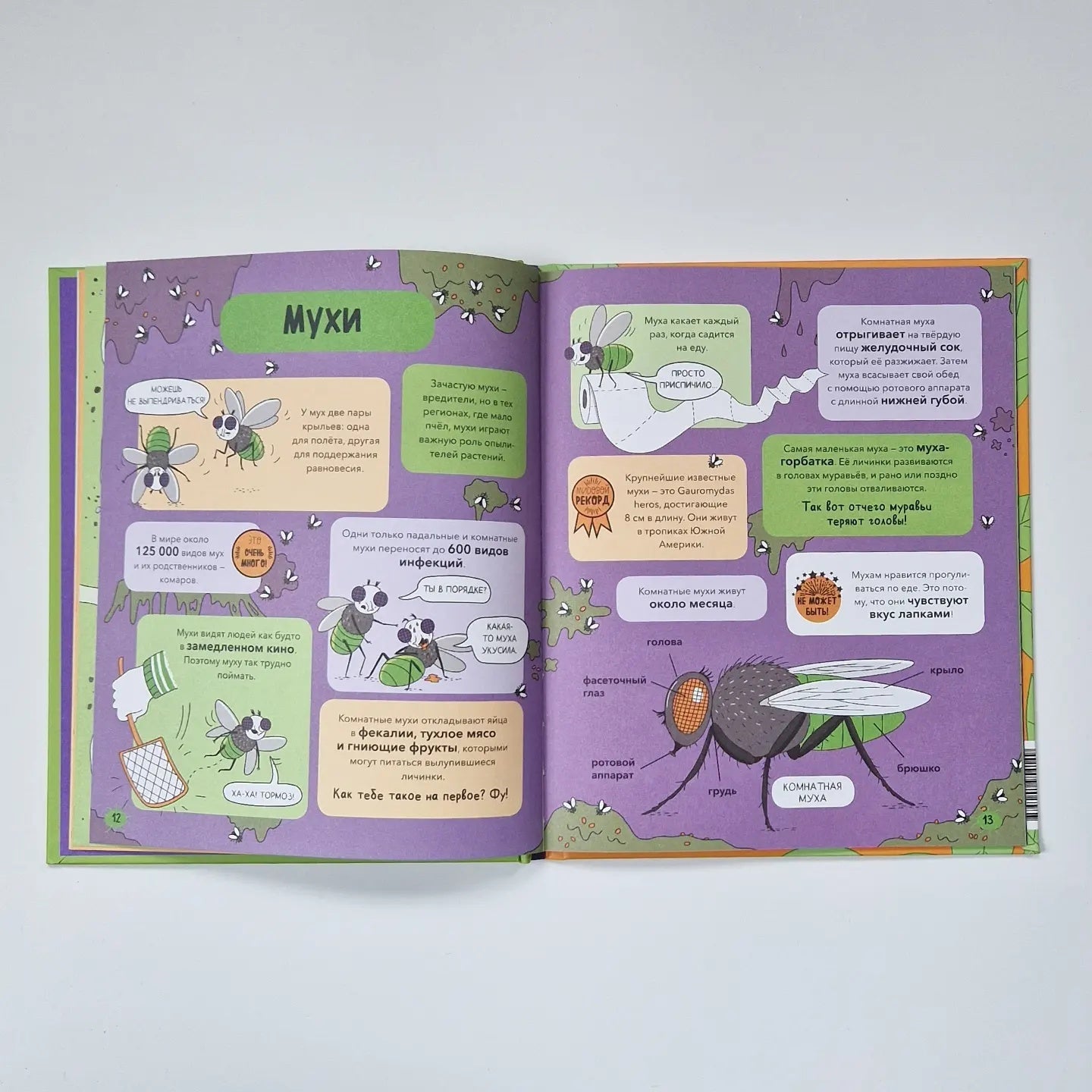 Насекомые и не только