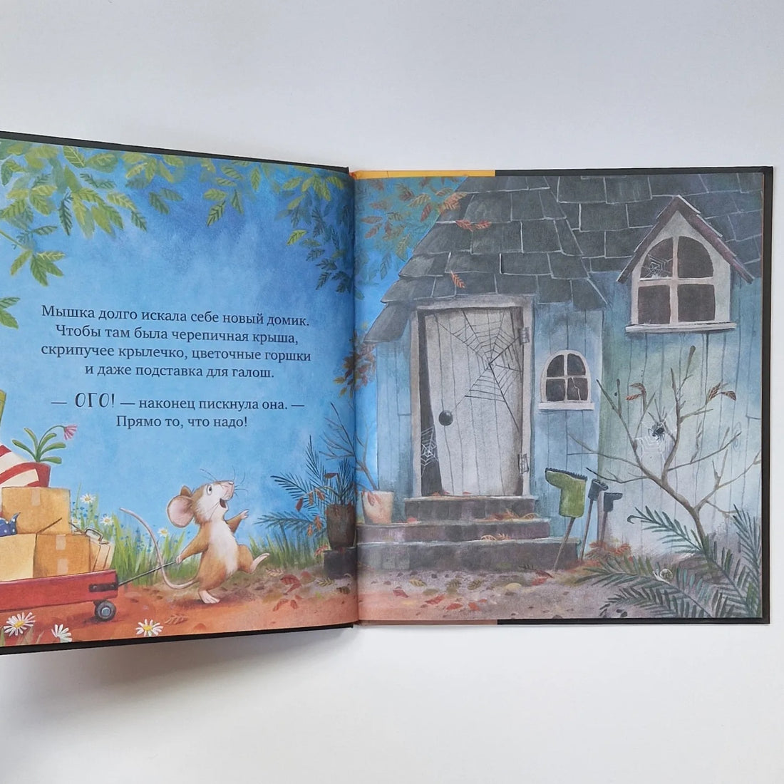 Всем хватит места! (мягкая обложка)