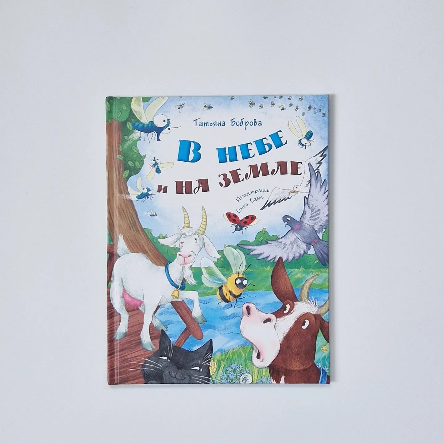 В небе и на земле