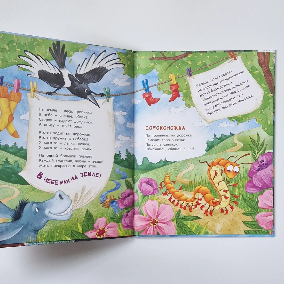 В небе и на земле