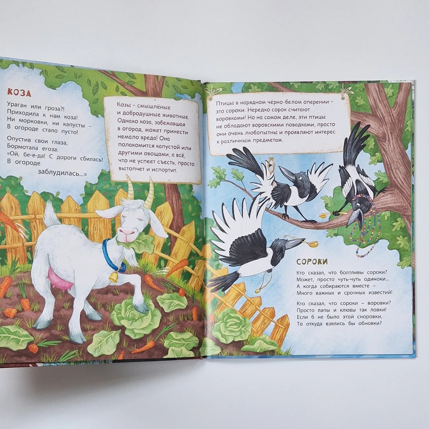 В небе и на земле