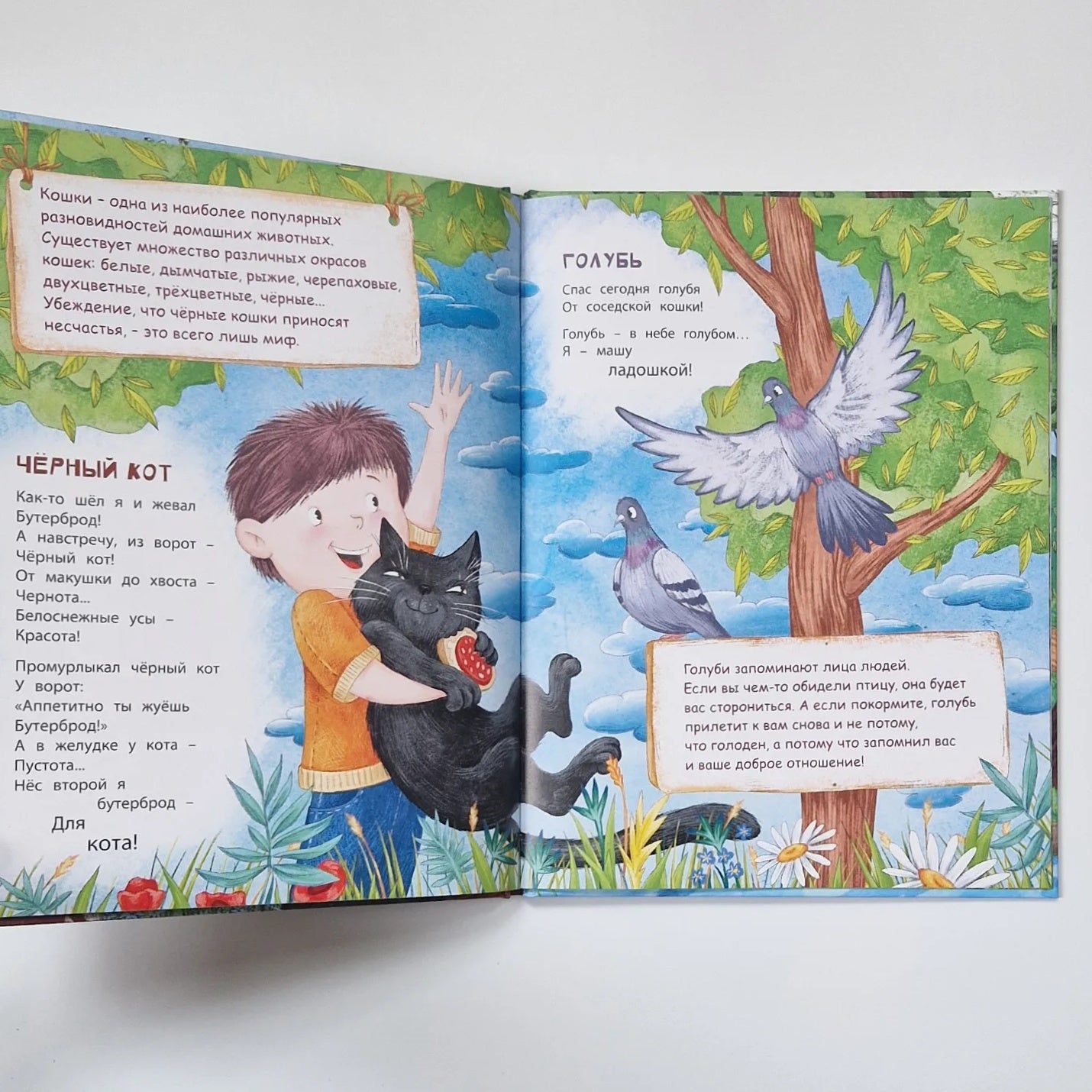 В небе и на земле