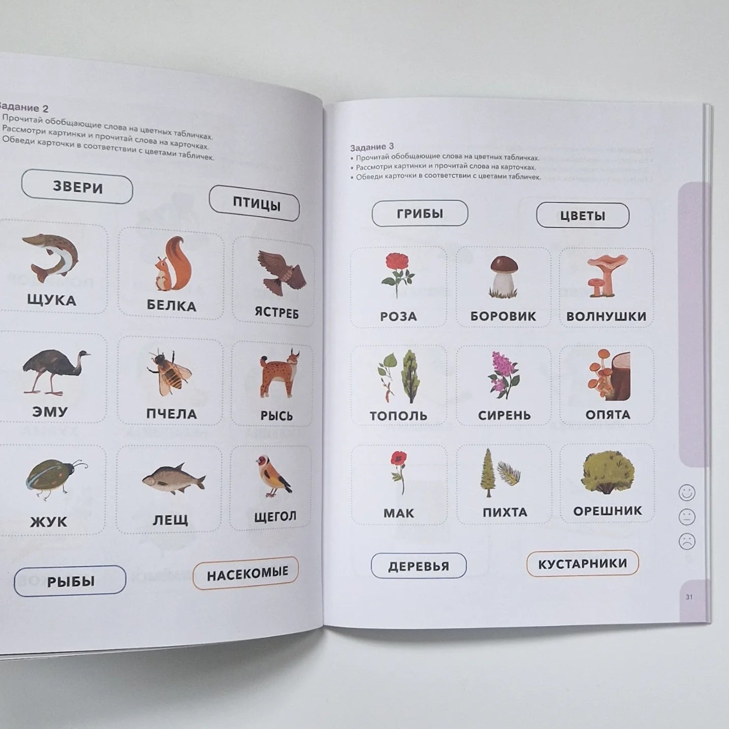 Logic. Learning to analyze, compare and generalize. 5-6 years