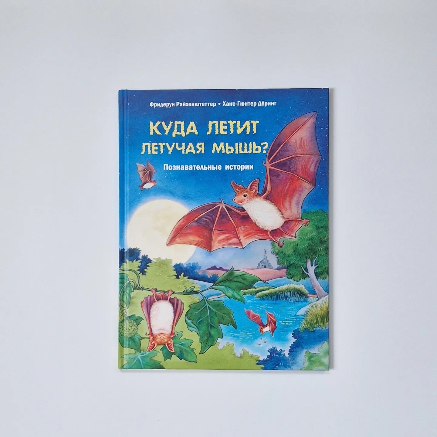 Where does the bat fly? Educational stories