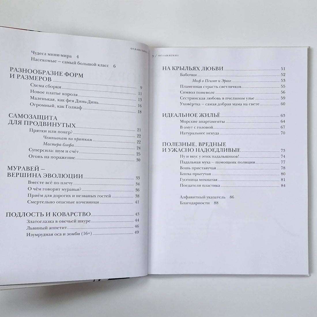 Поразительные насекомые