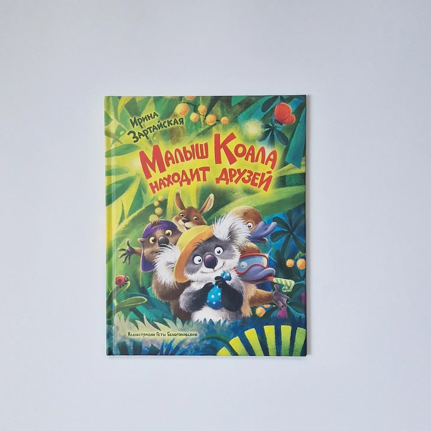 Малыш Коала находит друзей