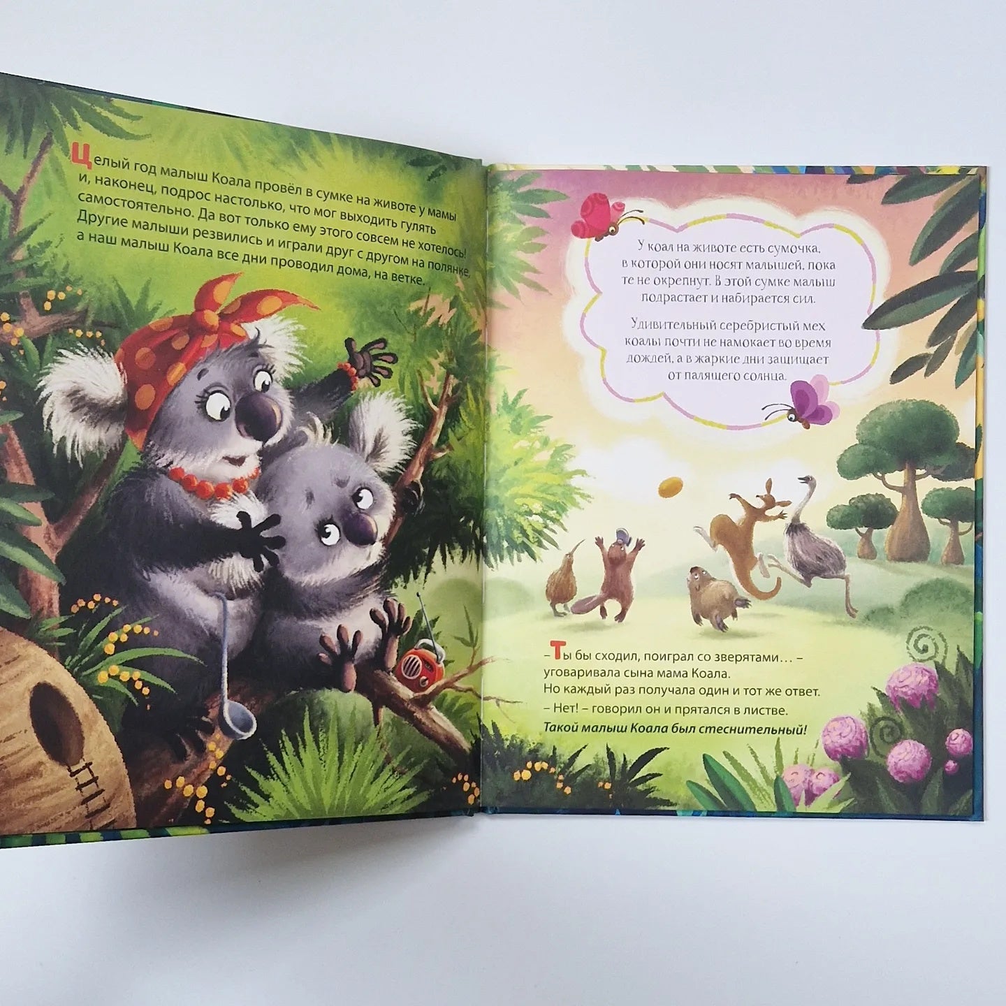 Малыш Коала находит друзей