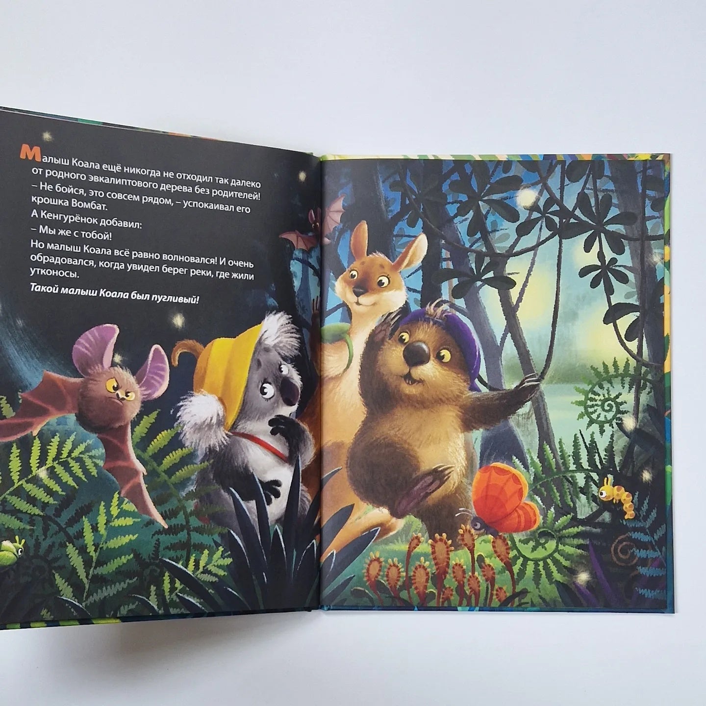 Малыш Коала находит друзей