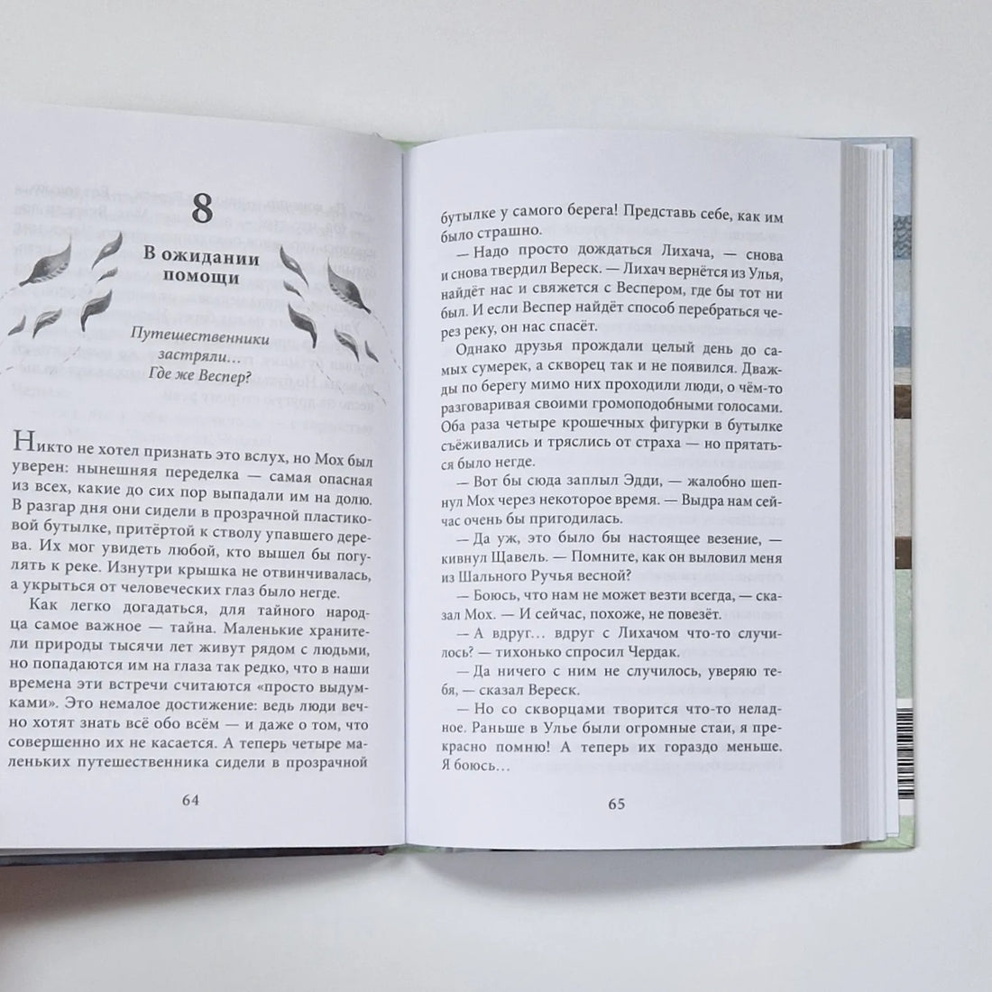 Хранители мира. Дорога домой