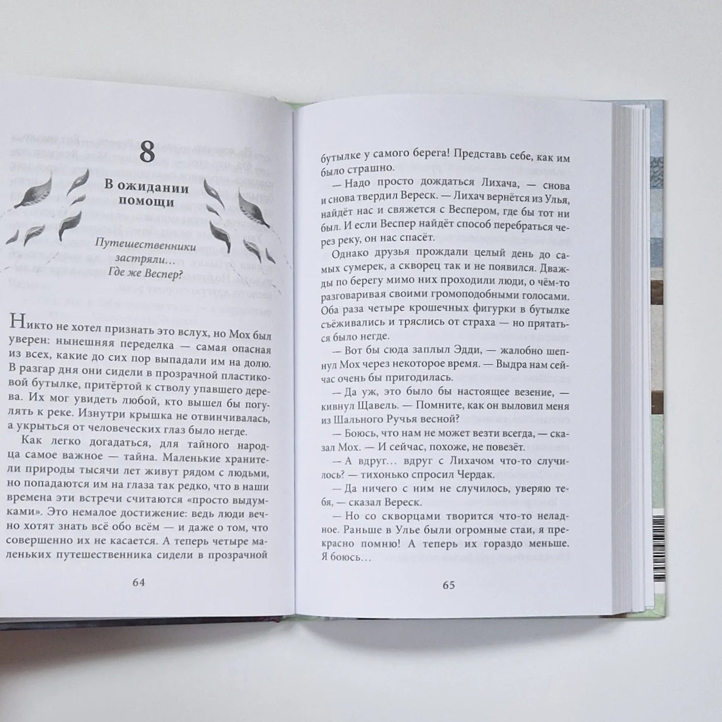 Хранители мира. Дорога домой