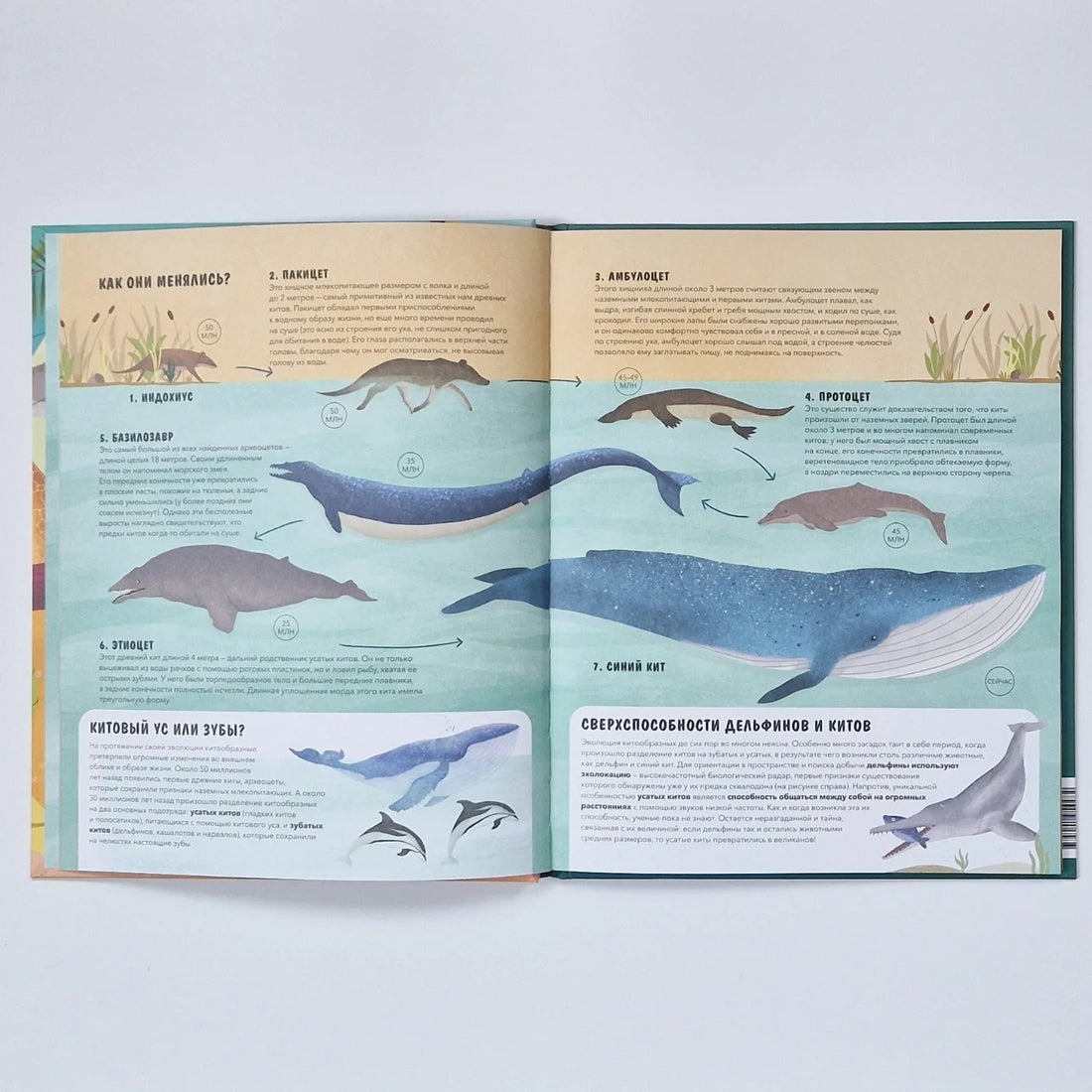 Эволюция. Как изменилась жизнь за миллиарды лет